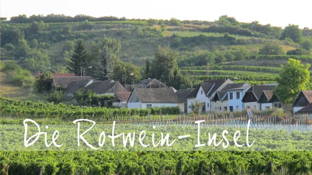 Die Rotwein-Insel Haugsdorf