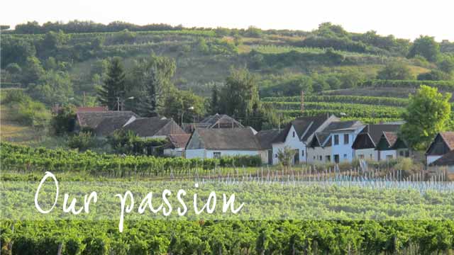 Haugsdorf - the red wine island of the Weinviertel region.